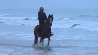 Quabar galop plage