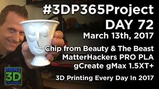 #3DP365Project - Day 72 - Chip - MatterHackers PRO PLA & gCreate gMax 15XT+