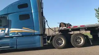 1973 Kenworth w923
