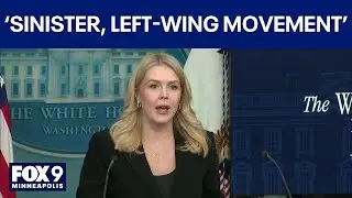 &lsquo;Sinister, left-wing movement&rsquo; to blame for deadly ICE shooting, White House says