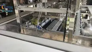 Mango peeling machine