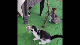 Benim eğlencelerim 😀😃