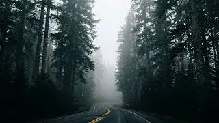 Ride with me on mountain roads through forest in eastern Tracia (Türkiye)