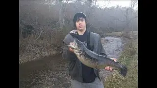 CATCHING MY PB BROWN TROUT AFTER SCHOOL!