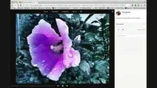 Smartphone Photographers Community - Point and Shoot April 17, 2014