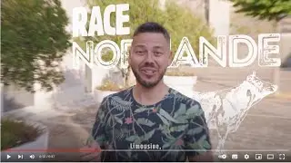 Les races de caractère // EP 2 : L’entrecôte de nos régions !