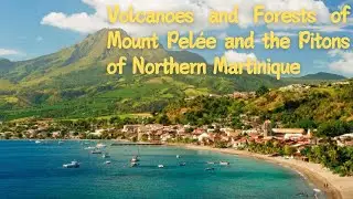 Exploring the Volcanoes and Forests of Mount Pel&eacute;e and the Pitons of Northern Martinique