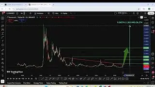 SHOCKING +500% PUMP INCOMING FOR $RVN Ravencoin