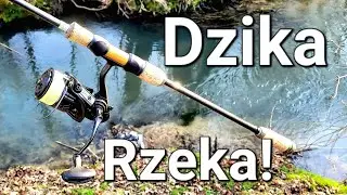 Pierwszy Raz Złowiłem Tę Rybę! Dzika Rzeka na Spinning! Wędkarstwo Spinningowe! Pierwszy Pstrąg!