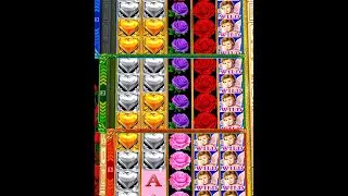 🌹 Tower Stack 🌹 BONUS! Feature Rose Slot Machine Live Video Free Spins