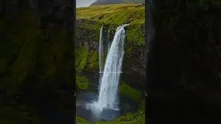 People x Nainowale Ne (Mashup)🍁🥀 || Aesthetic Status 💌 || Whatsapp Status 🦋 || Lyrics Status💘 #short