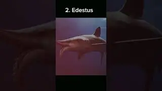 Extinct shark species..[like and subscribe for more]#shorts #scary #transgender.