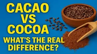 Какао против какао: в чем НАСТОЯЩАЯ разница?
