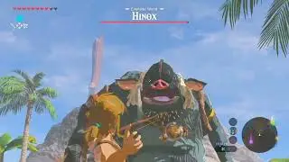 Stranded on Eventide Island Side Quest &ndash; Zelda: BOTW (Switch 2)