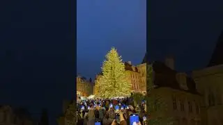 Christmas tree light ceremony
