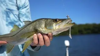 Winter Flats Fishing - Snook, Redfish, Trout