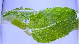 Slices of Lime and Mint Leaves in Liquid with Clear Drink Stock Footage