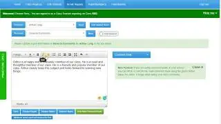 Primary School Report Writing Tutorial.