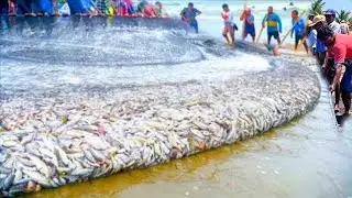 😱😮 Wooow!!! Amazing full process net fishing video - very interest fishing video for Asia %100 best 