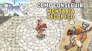 Ragnarok | Como conseguir Pecopeco | Montaria.