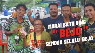 AKSI MURAI BATU RING BEJO TAMPIL FULL ISIAN | LATPRES RONGGOLAWE DPC TEBO