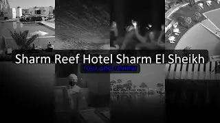 Sharm Reef Hotel, Sharm El Sheikh - Family-Friendly Red Sea Resort Egypt