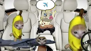 Banana Cat 😺❤️ Compilation #2 minutes