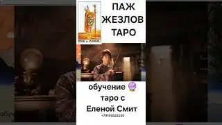 ПАЖ ЖЕЗЛОВ #таро #обучение_таро