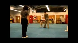 Utility Moving Stand for Exam