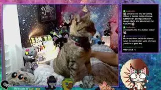 Twitch VOD - 06122024 Goblin Cleanup DEMO Multiplayer