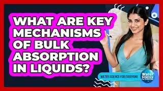 What Are Key Mechanisms of Bulk Absorption in Liquids?