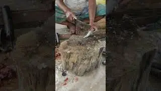 Fish Cutting From Market | Fresh Big Fish Cleaning & Smooth Professional Cutting Skills