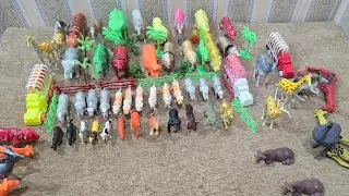 ASMR Unboxing🎁🐄🐇: Safari Plastic Animals Review & Collectible Safari Toys