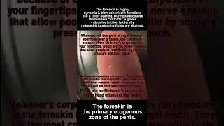 Защита мальчиков от калечащих операций на женских половых органах приносит пользу не только мужчи...