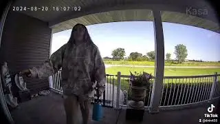 8.20.24 porch cam chicken antics