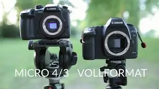 Sensorgr&ouml;&szlig;en APS-C vs. Vollformat - Fotografie Tutorial