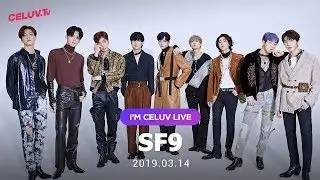 [Replay][I'm Celuv] SF9(에스에프나인), 어딜 가나 눈에 띄는~ (Celuv.TV)