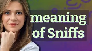 Sniffs | meaning of Sniffs