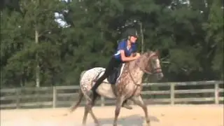 Grace's USPC International Exchange 2014 Team Tryout Video