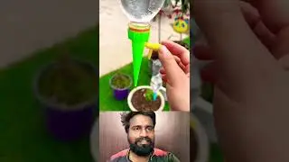 🪴💧Automatic Plant Watering Hack | தானியங்கி செடி நீர் ஊற்றும் பாட்டில்🔥#gardening #innovation #hacks