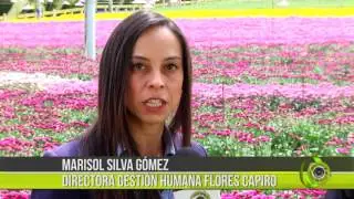 Flores El Capiro S.A. galardonada con el premio Cultivadores Internacionales 2017
