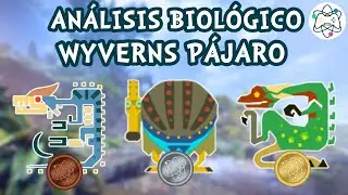 EVOLUCI&Oacute;N de los WYVERNS P&Aacute;JARO de MONSTER HUNTER