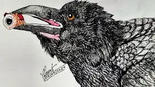Drawing a Raven 🐦&zwj;⬛| Coloured Pencil ✏️ | Realistic Crow Drawing | @vladiolascount #birds #art