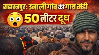 सहारनपुर के ऊनाली गाँव की गाय मंडी में उमड़ी भारी भीड़ | 50 लीटर दूध देने वाली गायों की धूम