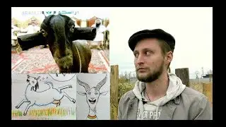 То, что вы не знали о козах и никогда не узнаете!..