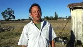 Know GMO Laurence Jaffe