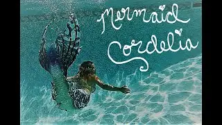 Mertailor Whimsy Three Abalone Fabric Tail Pool Swim and Mermaid Tricks