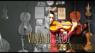 VIOLA DE ARCO Antoni Marsale YA520 l Perfect - Ed Sheeran l Daniel Lima