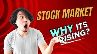 why indian stock market is rising ? &bull; Wealth Coach Tejas