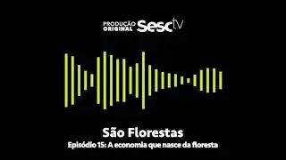 Epis&oacute;dio 15: A economia que nasce da floresta